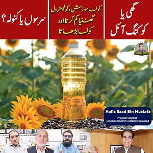 Ghee Ya Cooking Oil? Sarson Ya Canola? Myths about seed oils, inflammation and bad cholestrol In this informative session, health expert Dr. Shehzad Basra shares vital insights on the use of ghee and cooking oils like mustard (sarson) and canola, olive oil, mustard oil, erusic acid, chemolina. He discusses which options reduce inflammation, cholesterol, and arthritis—and which ones may increase them. If you're conscious about your heart, joints, and overall health, this video is a must-watch! #g