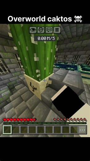 Overworld caktos is dangerous ☠☠#minecraft