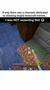 Barnes on Instagram: "Follow @wholesomebarnes for more! 😭 . . . #reels #minecraft #minecraftmemes #minecraftonly #minecraftpe #minecraftpc #minecrafter #minecraftpocketedition #minecraftxbox #minecraftserver #minecraftps3 #minecraftart #minecraftskin #minecraftuniverse #skydoesminecraft #minecraftforever #minecraftskins #minecraftdiaries #minecraftedit #minecraftmeme #minecraftcake #minecraftgirl #minecraftdrawing #minecraftxbox350 #minecraftbuild #minecraftdaily"