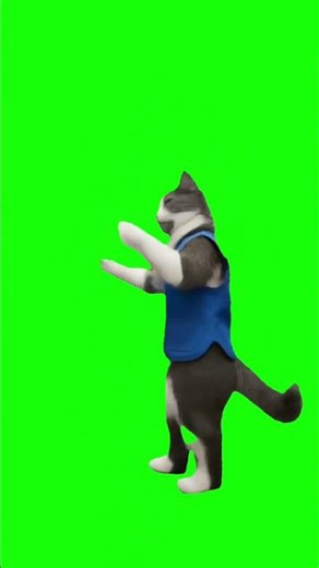 Green screen template of a dancing cat definitely real not AI #Meme #greenscreen #animals #ai #lol