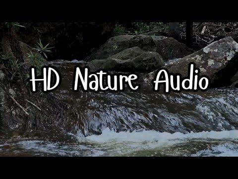 Pristine Stream in 32-Bit Float 🌿 Ultra High-Quality Water Flow Sound for Relaxation & Audio Work