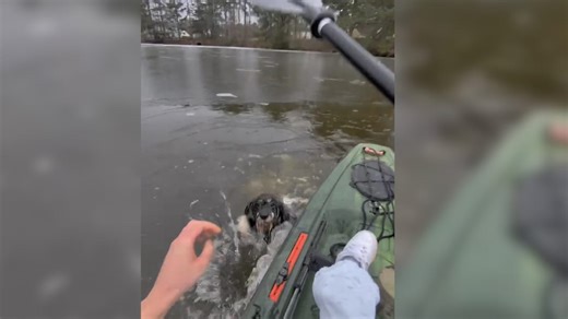 Teen rescues neighbor's dog from icy pond