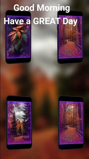 Why Fall Leaves Are The Most Beautiful