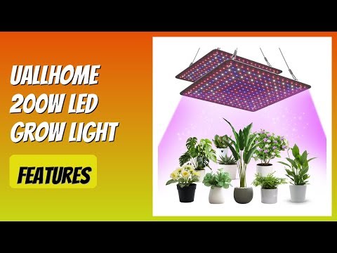 REVIEW (2025): Uallhome 200W LED Grow Light. Features.