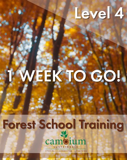 The count down begins for our 2025 Level 4 Course in Forest School Training! 🌲 Start Date: Monday 10th November 2025 📆 For more details contact: info@cambiumsustainable.co.uk #level4forestschooltraining #cambiumsustainable | Cambium Sustainable