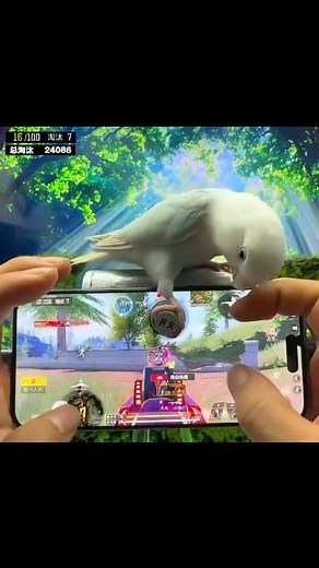 111K views · 1.9K reactions | No need for hacks  #fblifestyle #COD #callofduty #CODM #CODMobile #usa #viralreels #fyp | Steve gaming | Facebook