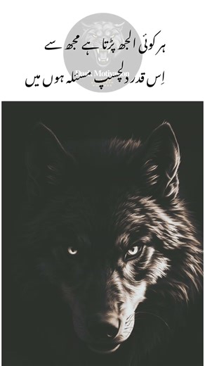 #DarkMotivation #WolfMindset #AlphaMindset #Motivation #WolfQuotes #Shorts #poetry #attitude