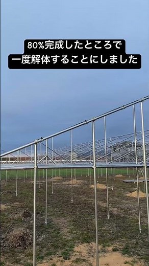 納得いかないので作り直すことにしました。#農業 #ぶどう栽培 #単管ハウス#ビニールハウス #自作ハウス #diy