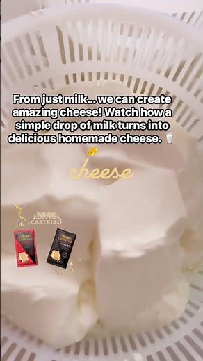 From Milk to Cheese – Amazing Homemade Cheese Process #food #cheesemaking #cooking #homemadecheese