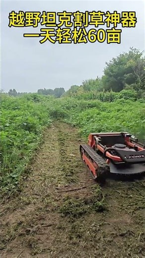 Best Remote Control Lawn Mowers 🚥🎮in 2025#rclawnmowers#rcmower