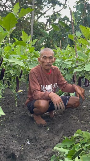 2.3M views · 246K reactions | Maayong buntag mga ka farmers | Ka Farmers Vlog | Facebook