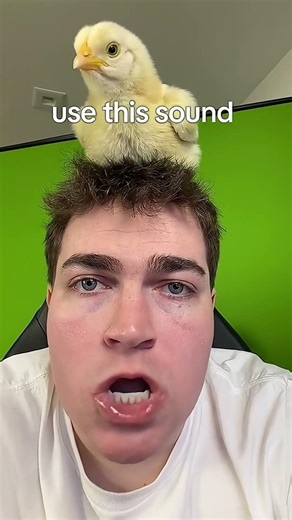 first time using AI lol