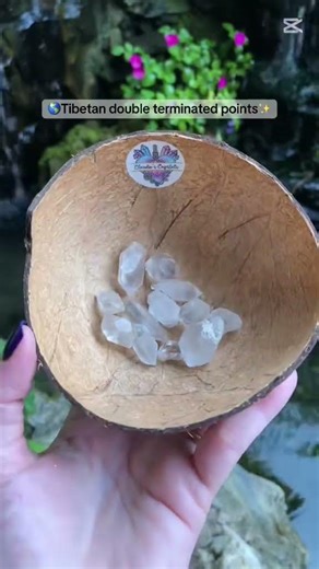 Different forms of Clear Quartz