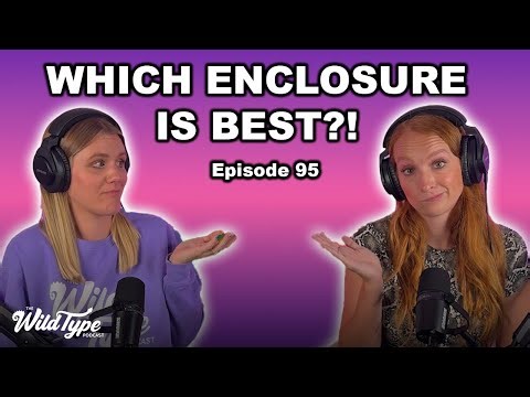 Glass vs PVC vs Screen Enclosures | Episode 95