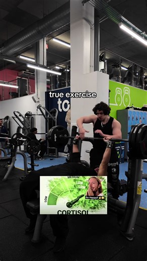 Powerlifting Bench Press Techniques for Beginners