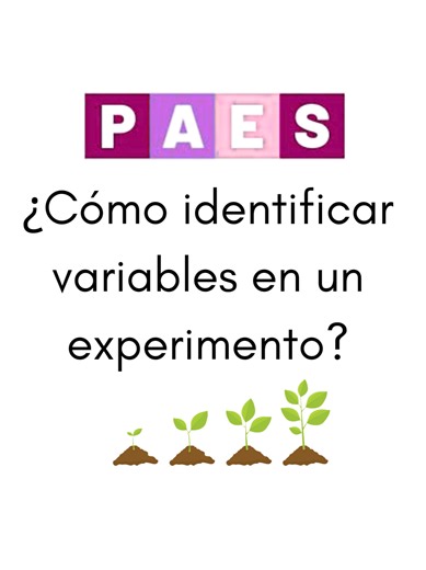 ¿Cómo identificar varibales en ciencias? . En esta mini clase les enseño la base para poder identificar los tipos de variables en un experimento: Variables independientes, dependientes y controladas. . . Clases gratuitas paes de ciencias biología por mi canal de youtube. . . #paesinvierno #paesregular #paeschile #paesciencias #demre #paes