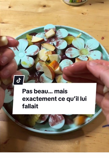 Rituel calme pour chiens : astuces et recettes faciles