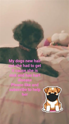 pls like and subscribe