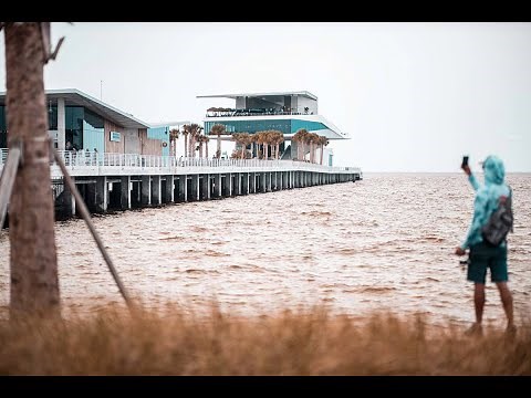 Fishing New St Pete Pier with Live Bait - Non-Stop Action!