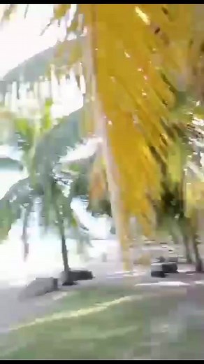 #feelthesummer #summer2023 #beach #swimming #fbreels #reelsvideo #fyp | Joy Anne