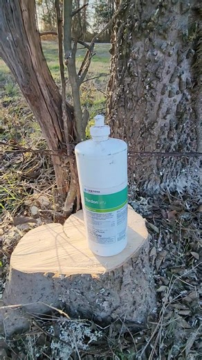 Applied Tordon to tree stumps. Kills stump and stops regrowth. Stumps rot out faster. | Robert D. Dunn
