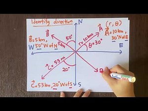 Vectors | Part 1 | Physics
