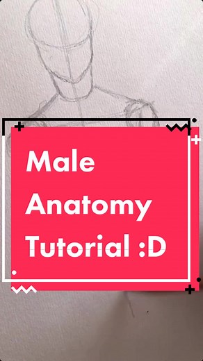 How to Draw Male Anatomy Tutorial