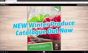 Winter Produce Catalogue Out Now! Grow your own fresh edible produce. Shop now and get your soon-to-be garden delivered to your door. #homegardening #gardenexpress #gardeningsuccess | Garden Express