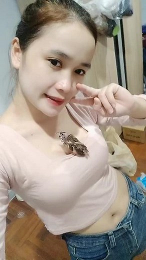 Caring for Your Pet Bird: Tips and Tricks