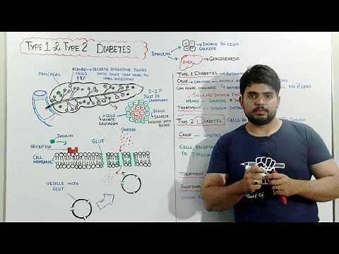 Diabetes mellitus type 1 and Type 2