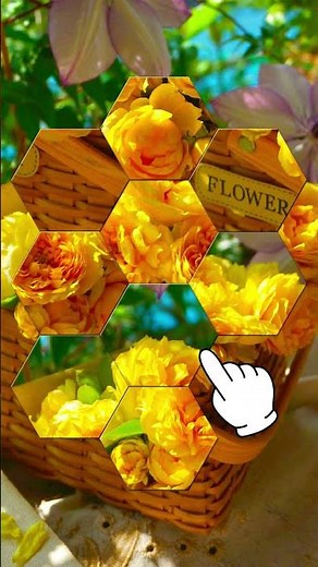 Shape Sort-jigsaw puzzle
