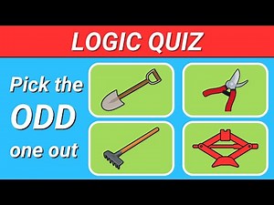Can you ace this LOGIC QUIZ in 8 minutes?