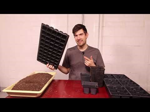 How to Pick The Right Size Container For Seed Starting