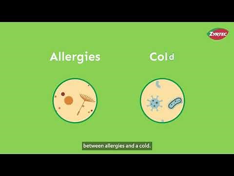 Allergies vs. Cold Symptoms