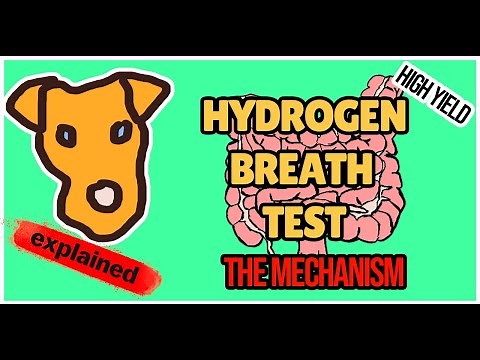 HYDROGEN BREATH TEST EXPLAINED