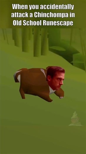 When you accidentally attack a Chinchompa in Old School Runescape #memes #runescape #nostalgia #gaming #OSRS #2007scape #oldschoolrunescape #fypシ゚ | GnomeNuts