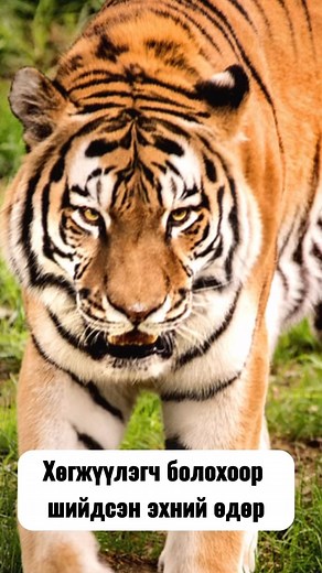 #justforfun | iCode Academy