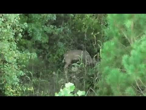 How effective is a thermal drone