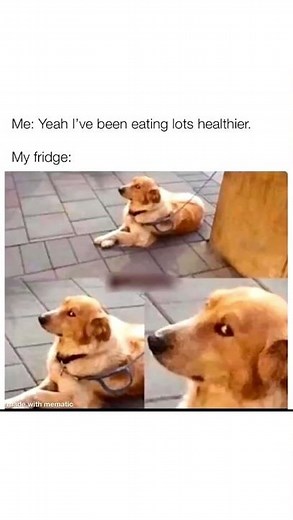Relatable Memes 14 #Memes #Shorts