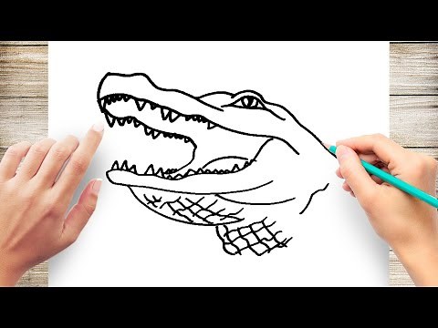 How to Draw A Alligator Head