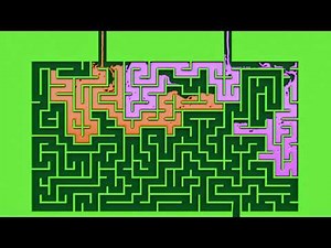 Two Liquids, One Goal: 2 Fluids Solve a Maze 😍