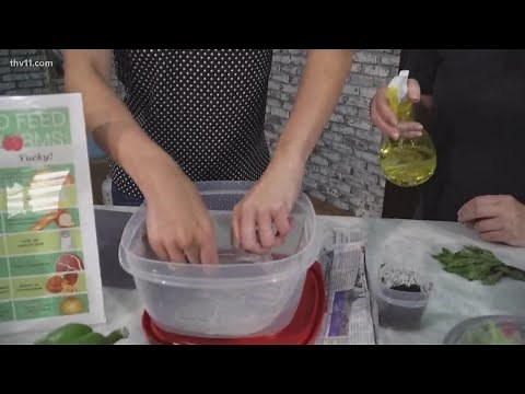 How to make a worm farm with your kids