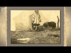 Why is There a Monument to Balto in Central Park? | The New York Historical