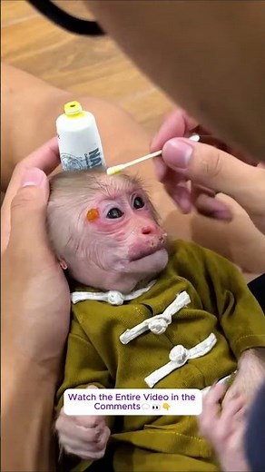 Lala is scared to sleep alone so she takes the blanket and pillow to sleep with Dad! #monkey