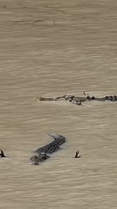 Waiting for your nail polish to dry 💅 📹 @shot.by.sheree, thanks for sharing! | ABC Darwin
