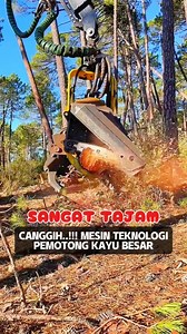 KERJA CEPAT..!!! CARA KERJA ROBOT PEMOTONGAN KAYU BESAR #kayubesar #robot #viralvidio #reelsvideo #reelsfyp #viral | Herdi Susanto