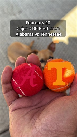 Alabama Crimson Tide vs Tennessee Volunteers Basketball Highlights