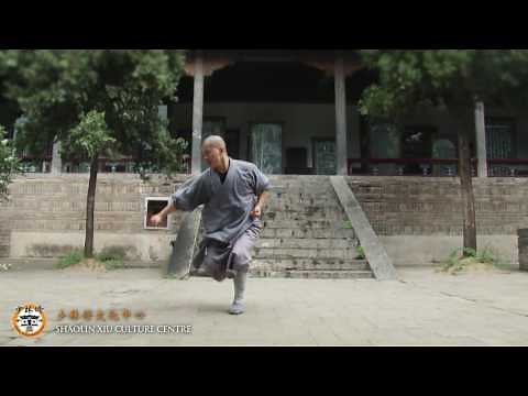 Qi Xing Quan - Shifu Yan Chong