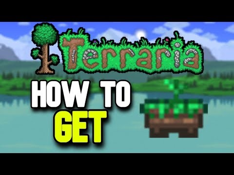 How to Get Daybloom Planter Boxes in Terraria