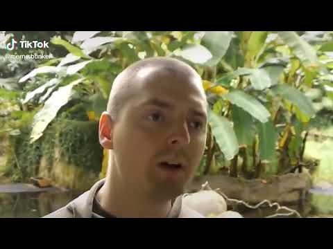 Der Hase ist äußerst ängstlich... !😂😂😂